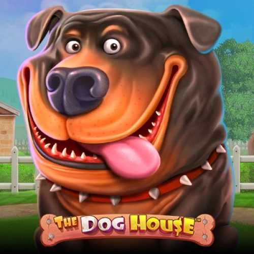 Divertiti a giocare a The Dog House nel casinò Need for Spin.